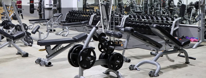 Vuelta al gimnasio: qué esperar de tu primer día en WUp Fitness Center